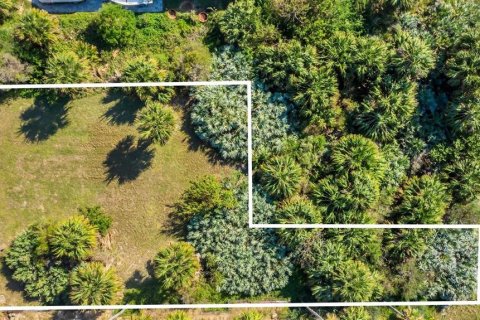 Terreno en venta en New Smyrna Beach, Florida № 1554085 - foto 5