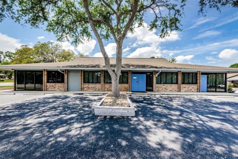 Commercial property in Safety Harbor, Florida 321.44 sq.m. № 1722052 - photo 1