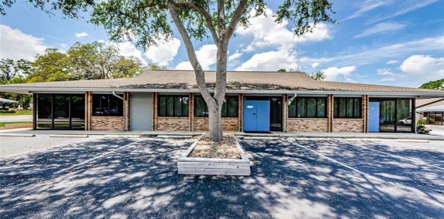 Propiedad comercial en Safety Harbor, Florida 321.44 m2 № 1722052