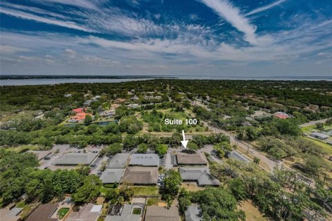 Commercial property in Safety Harbor, Florida 321.44 sq.m. № 1722052 - photo 19