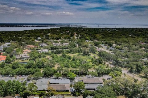 Commercial property in Safety Harbor, Florida 321.44 sq.m. № 1722052 - photo 25