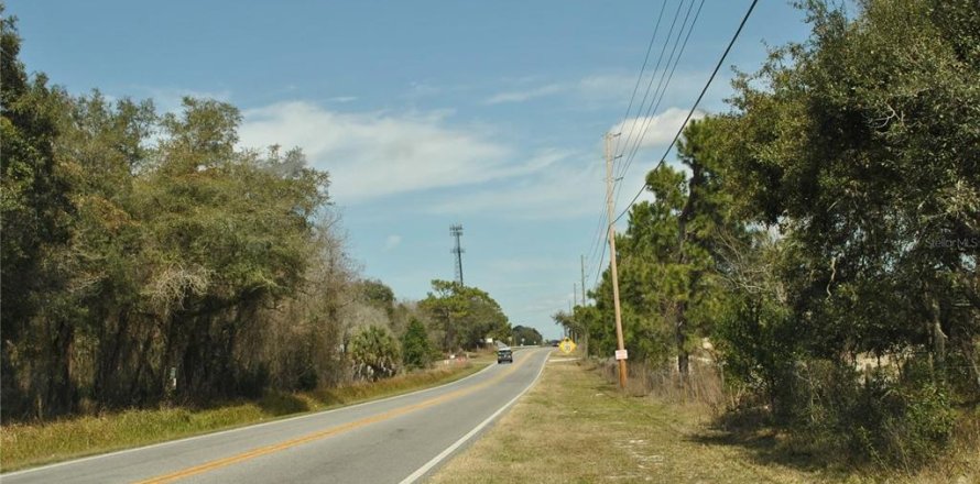 Terrain à Spring Hill, Floride № 1917364