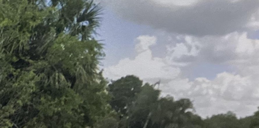 Land in Port Charlotte, Florida № 2159395