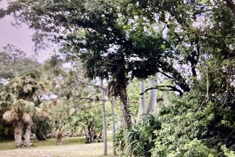 Land in Port Charlotte, Florida № 2159395 - photo 3