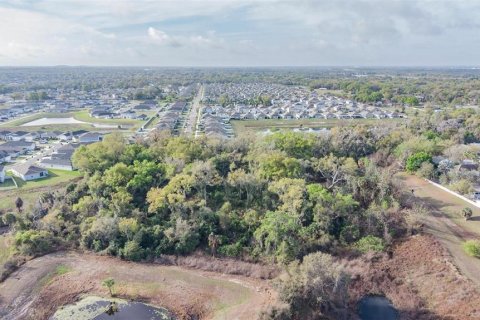 Land in Riverview, Florida № 2214605 - photo 9