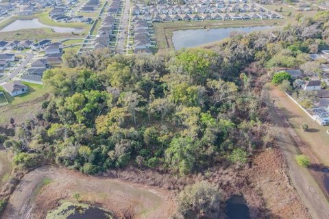 Land in Riverview, Florida № 2214605 - photo 3