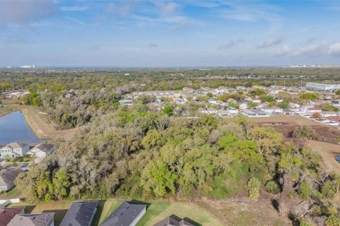 Land in Riverview, Florida № 2214605 - photo 7