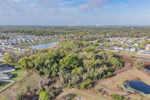 Land in Riverview, Florida № 2214605 - photo 8