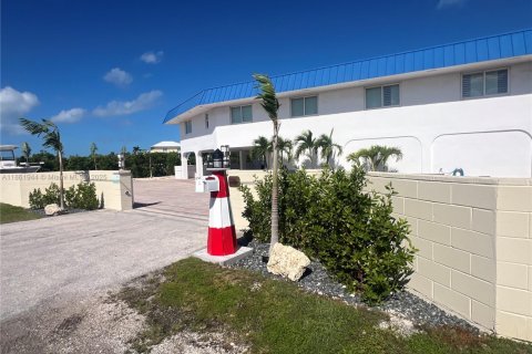 Villa ou maison à louer à Marathon, Floride: 5 chambres № 1890616 - photo 13