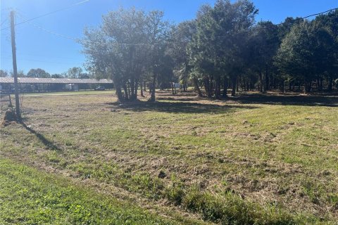 Terreno en venta en Waldo, Florida № 1564825 - foto 9