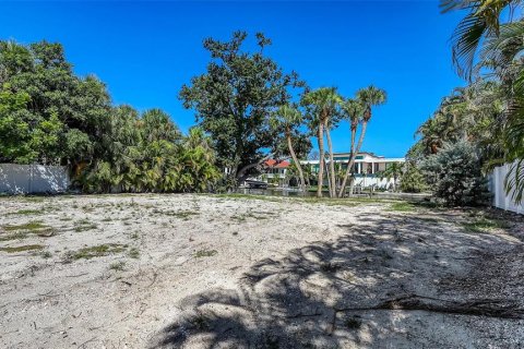 Land in Sarasota, Florida № 1909085 - photo 11