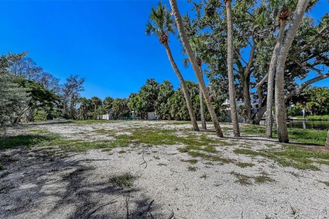 Land in Sarasota, Florida № 1909085 - photo 5