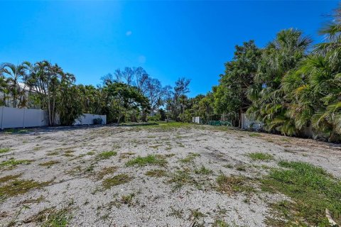 Land in Sarasota, Florida № 1909085 - photo 12
