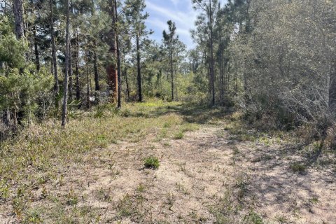 Propiedad comercial en venta en Navarre, Florida № 559526 - foto 1