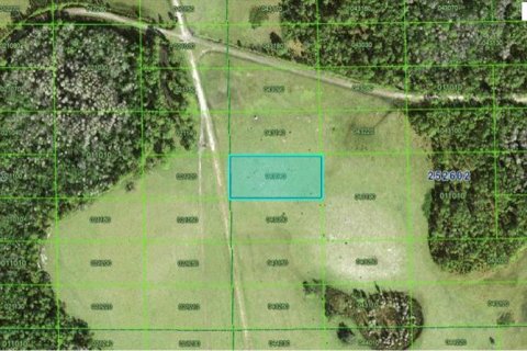 Terreno en Polk City, Florida № 2235101