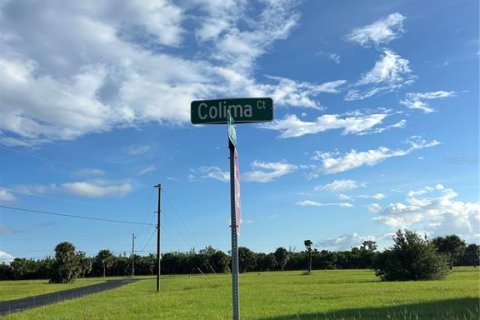 Land in Punta Gorda, Florida № 2224214 - photo 7