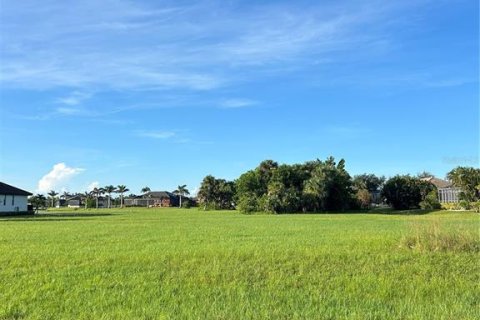 Land in Punta Gorda, Florida № 2224214 - photo 4
