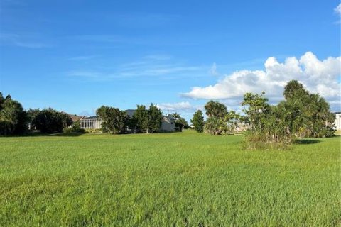 Land in Punta Gorda, Florida № 2224214 - photo 5