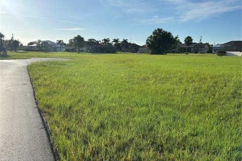 Land in Punta Gorda, Florida № 2224214 - photo 3