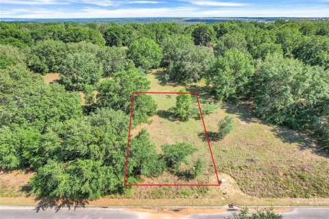Land in Minneola, Florida № 1744841 - photo 2