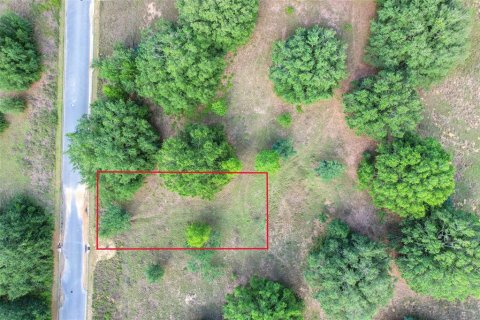 Land in Minneola, Florida № 1744841 - photo 4