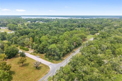 Terreno en venta en Crystal River, Florida № 1917308 - foto 5