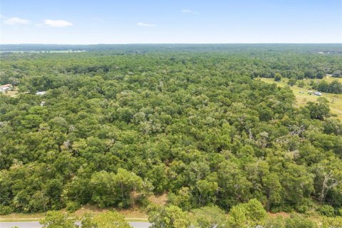 Terreno en venta en Crystal River, Florida № 1917308 - foto 9