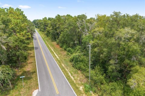 Terreno en venta en Crystal River, Florida № 1917308 - foto 2