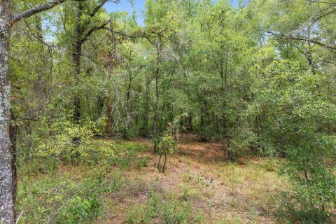 Terreno en venta en Crystal River, Florida № 1917308 - foto 8