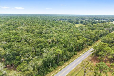 Terreno en venta en Crystal River, Florida № 1917308 - foto 4