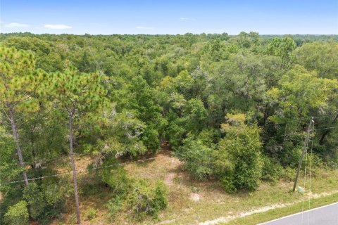 Terreno en venta en Crystal River, Florida № 1917308 - foto 6