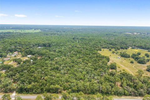 Terreno en venta en Crystal River, Florida № 1917308 - foto 3