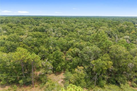 Terreno en venta en Crystal River, Florida № 1917308 - foto 10