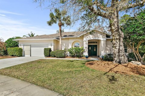 Villa ou maison à Palm Coast, Floride 4 chambres, 195.56 m2 № 2096671