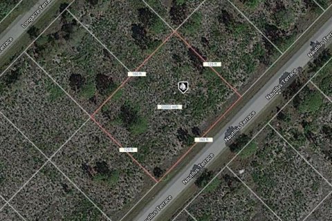 Land in Port Charlotte, Florida № 2163663 - photo 3