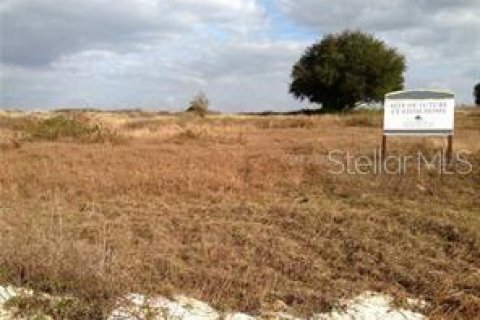 Terrain à Minneola, Floride № 2411423