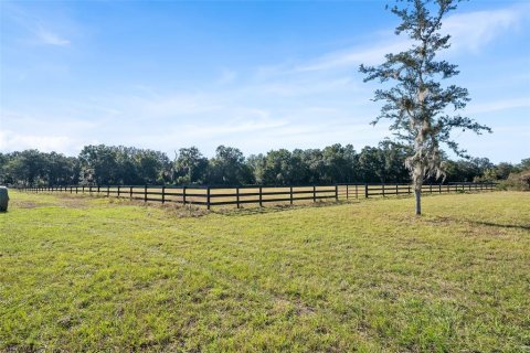 Land in Dunnellon, Florida № 2130441 - photo 3
