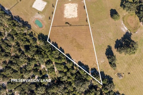 Land in Dunnellon, Florida № 2130441 - photo 7