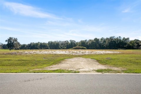 Land in Dunnellon, Florida № 2130441 - photo 11