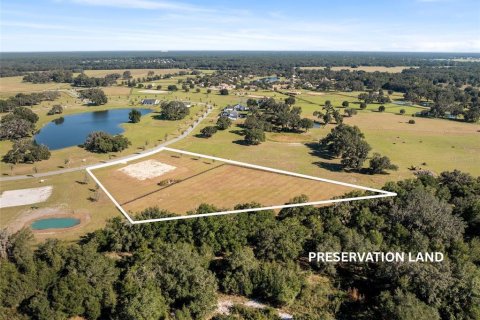 Land in Dunnellon, Florida № 2130441 - photo 6