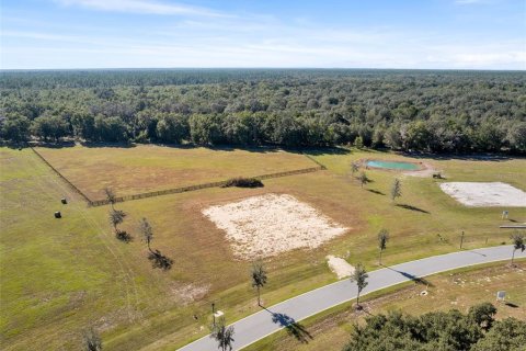 Land in Dunnellon, Florida № 2130441 - photo 8