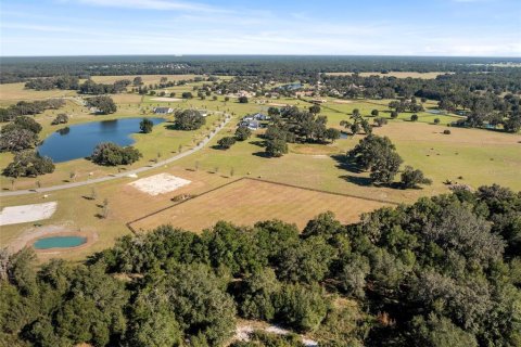 Land in Dunnellon, Florida № 2130441 - photo 9
