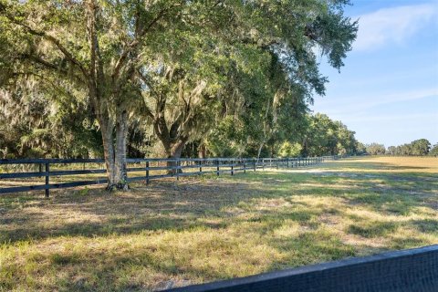 Terrain à Dunnellon, Floride № 2130441