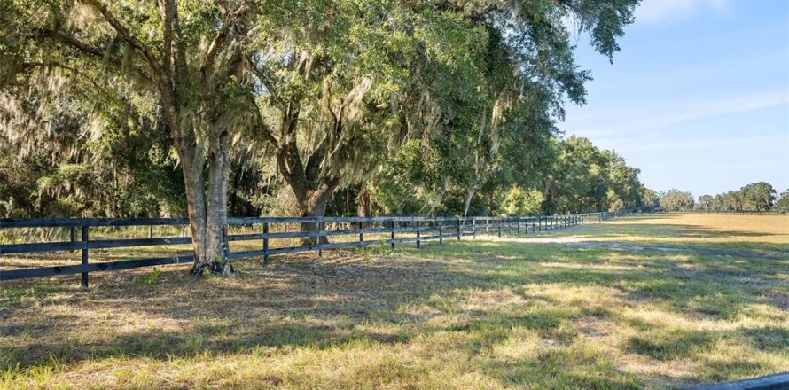 Land in Dunnellon, Florida № 2130441