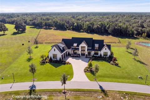 Land in Dunnellon, Florida № 2130441 - photo 5