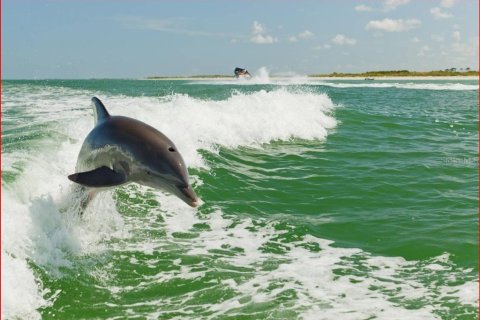 Condo in Treasure Island, Florida, 1 bedroom № 2206504 - photo 26