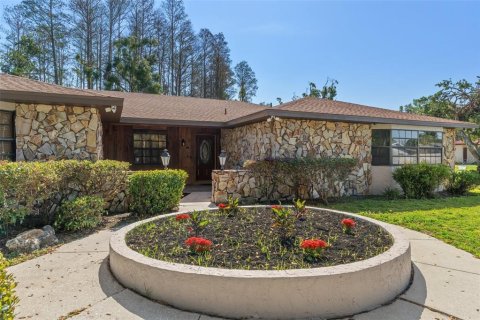 House in Lutz, Florida 5 bedrooms, 274.62 sq.m. № 1602440 - photo 7