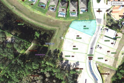 Land in Davenport, Florida № 1858121 - photo 2