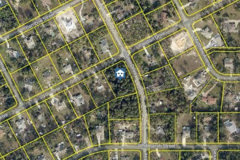 Land in Spring Hill, Florida № 1873687 - photo 2