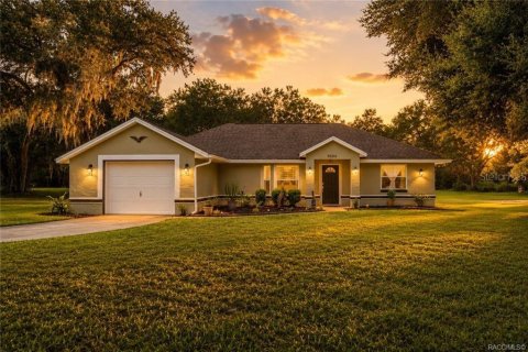 House in Crystal River, Florida 3 bedrooms, 132.94 sq.m. № 2321081